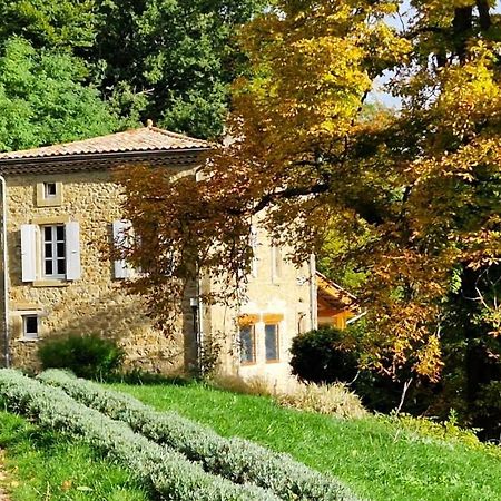 Gite Du Grand Delmas 布尔多 外观 照片